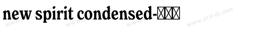 new spirit condensed字体转换 new spirit condensed字体转换
